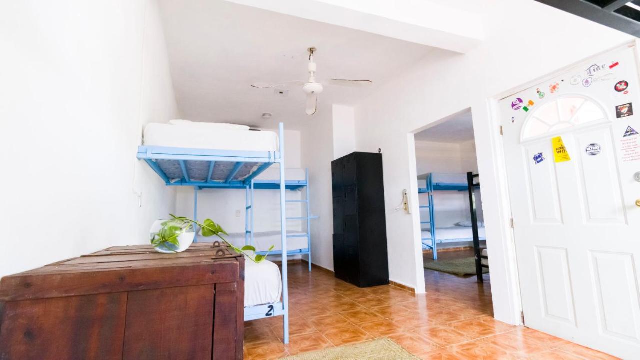 טולום Weary Traveler Hostel חדר תמונה